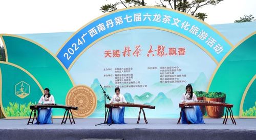 歌聲悠揚(yáng) 茶韻飄香 南丹第七屆六龍茶文化旅游活動(dòng)開幕